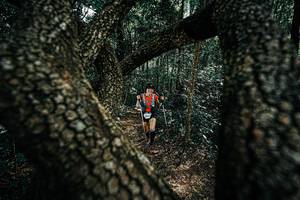 BIB: 
                            <button type="button" onclick="openModal(25392410)" class="btn btn-primary btn-sm float-right btn-popup" data-toggle="modal" data-target=".modal-high-quality">
                        <i class="fas fa-shopping-cart"></i> Add to Cart
                    </button>
                                            <button type="button" onclick="isThisMe(25392410, true)" class="btn btn-success btn-sm float-right btn-popup btn-isme hidden" data-toggle="tooltip" data-placement="bottom" title="นี่คือรูปของคุณใช่ไหม คลิกที่นี่เพื่อเอาเข้าอัลบั้ม">
                        <i class="fas fa-plus"></i> Add to album
                    </button>
                    <button type="button" onclick="isThisMe(25392410, false)" class="btn btn-warning btn-sm float-right btn-popup btn-isnotme hidden">
                        <i class="fas fa-ban"></i> Remove from album
                    </button>